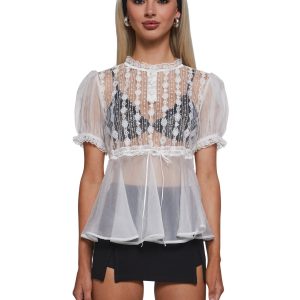 Screenshot This Sheer Blouse